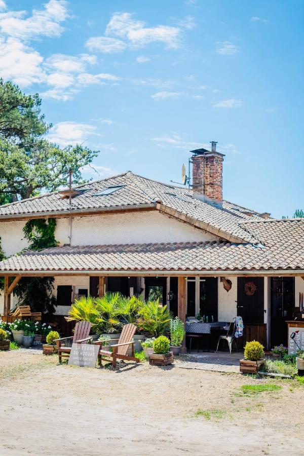 La Ferme Du Miouat Hotel Saint-Julien-en-Born Kültér fotó