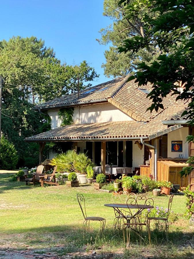 La Ferme Du Miouat Hotel Saint-Julien-en-Born Kültér fotó