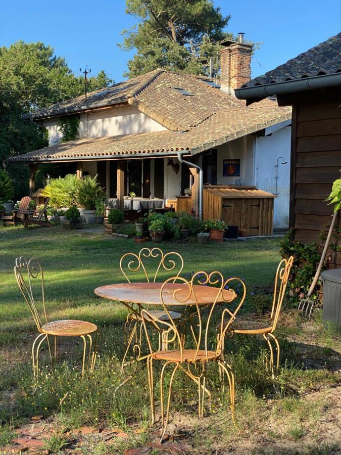 La Ferme Du Miouat Hotel Saint-Julien-en-Born Kültér fotó