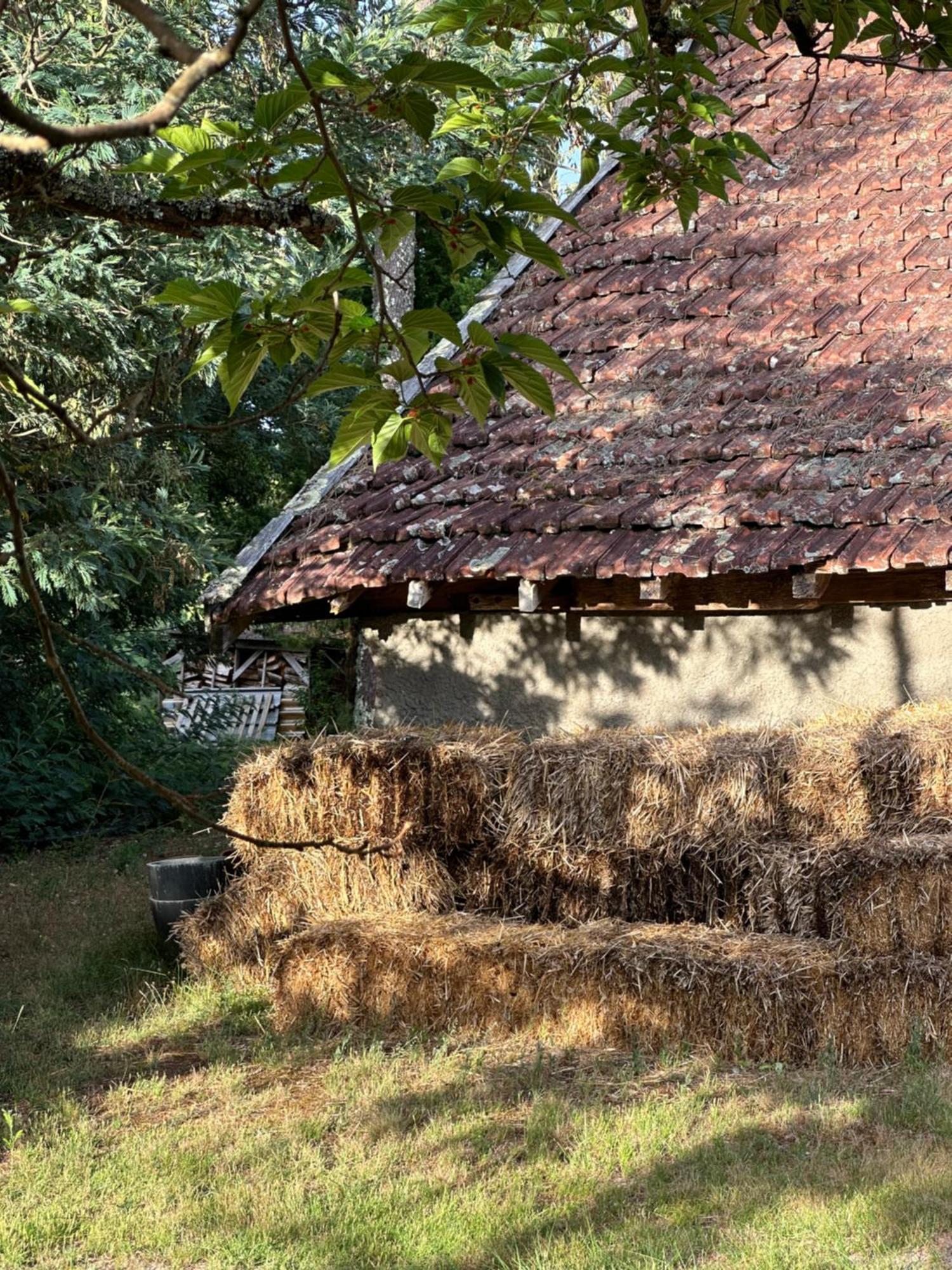 La Ferme Du Miouat Hotel Saint-Julien-en-Born Kültér fotó