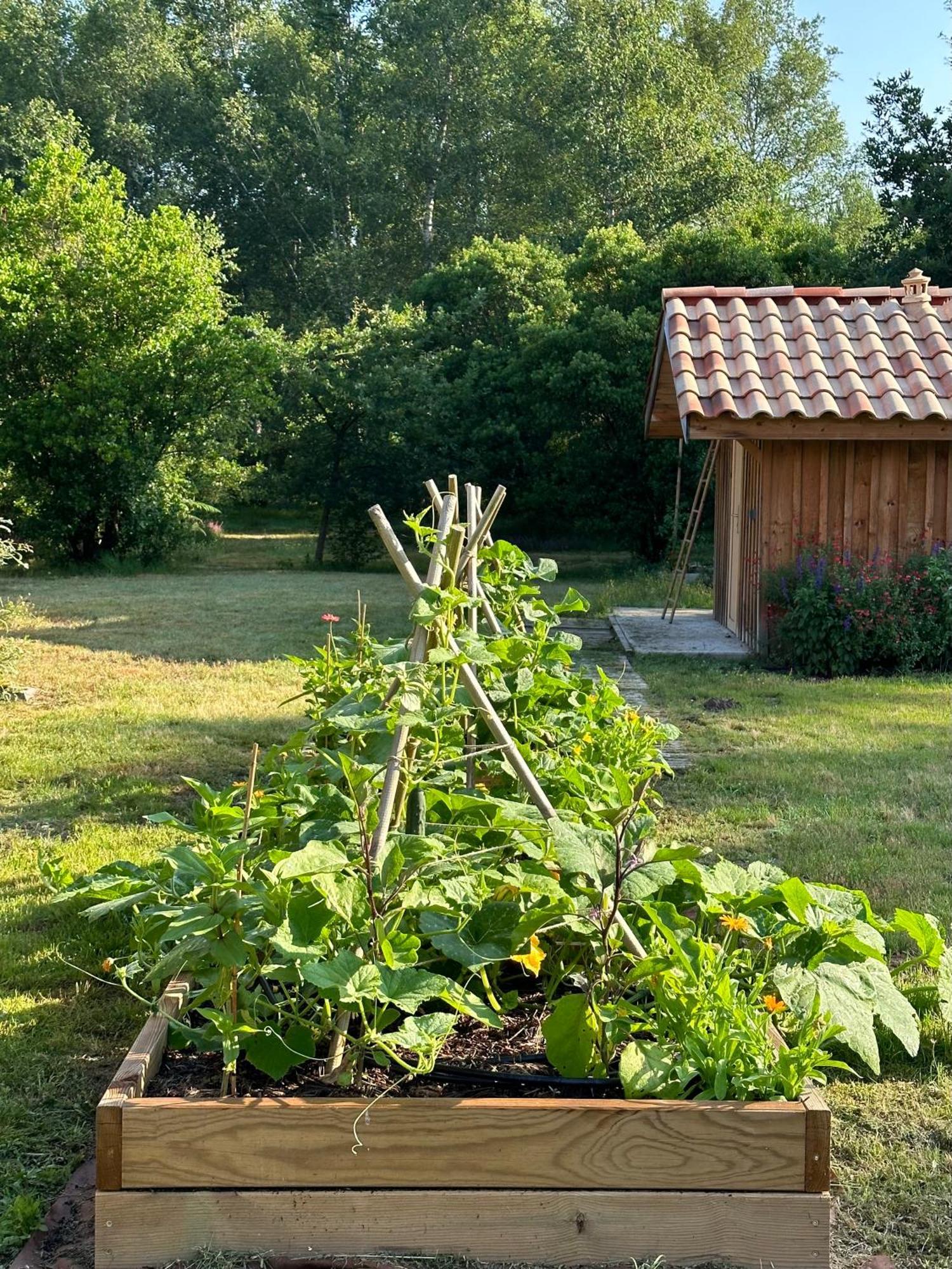 La Ferme Du Miouat Hotel Saint-Julien-en-Born Kültér fotó